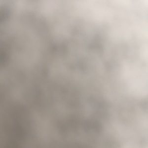 Meet your Posher, Bonnie